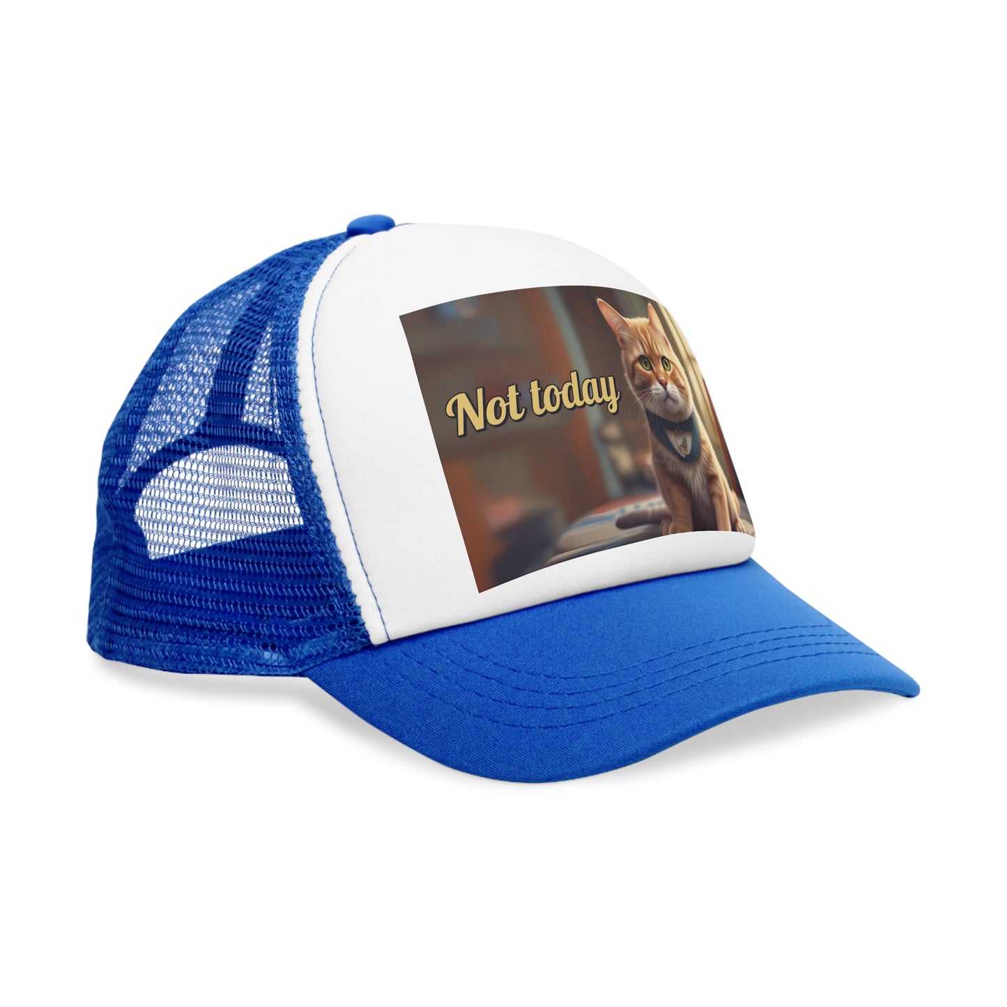 Not Today Keps - unisex