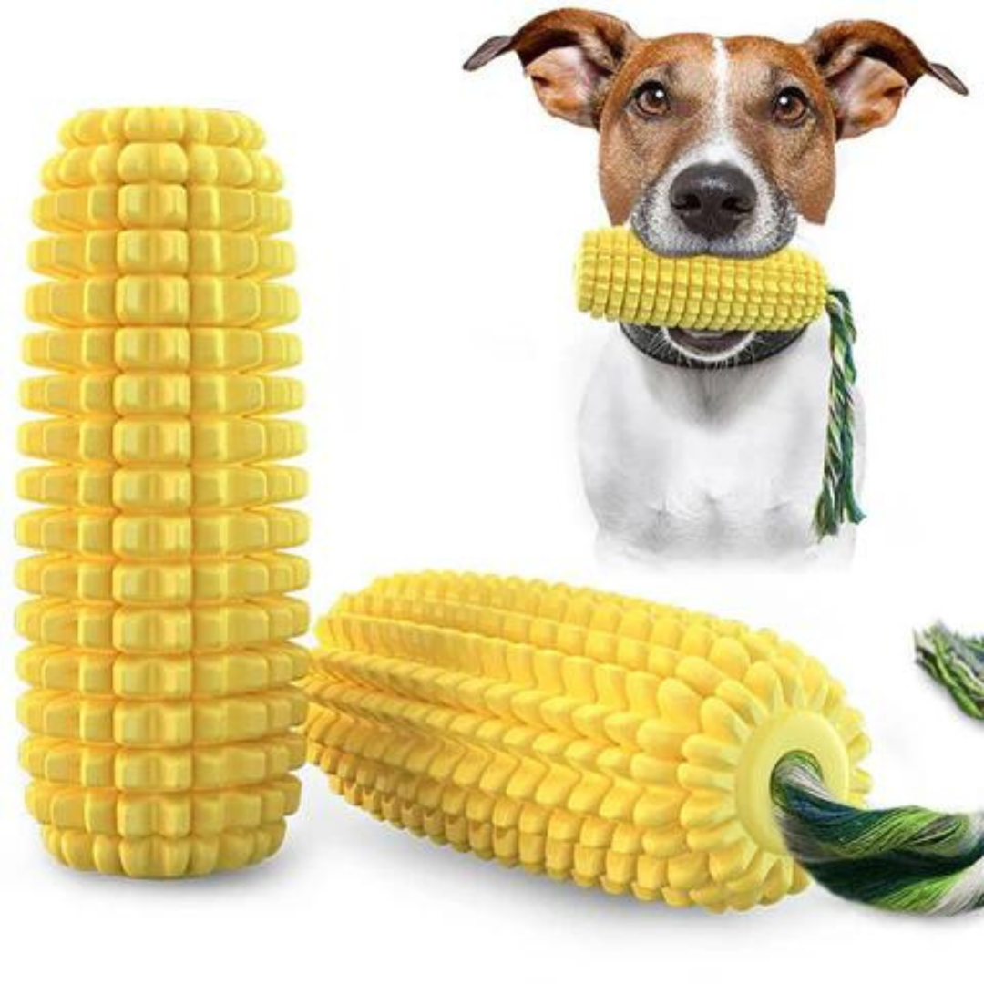 Hund aktivering tuggleksak