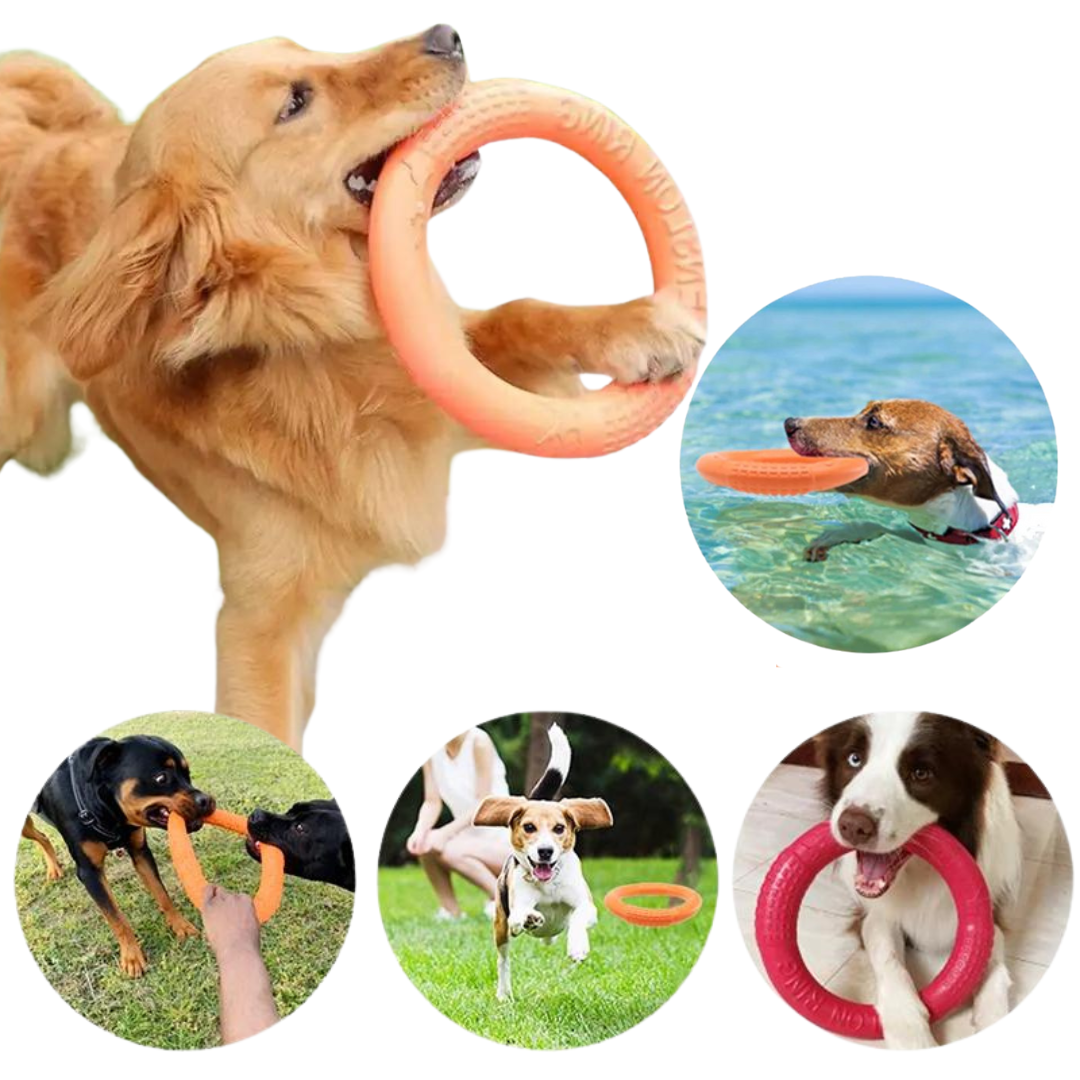 Hund - gummiring