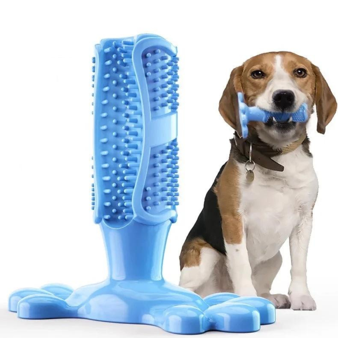 Hund tandborste tuggleksak