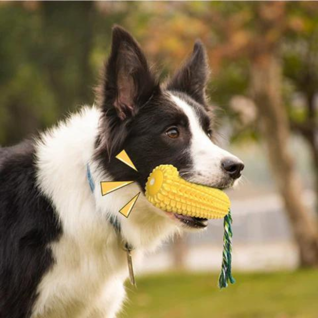 Hund tuggleksak - naturgummi