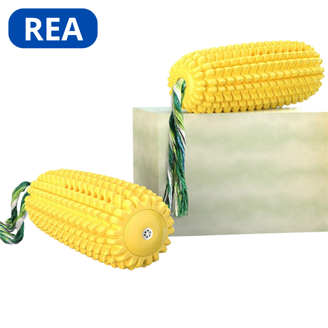 Hund tuggleksak - rea