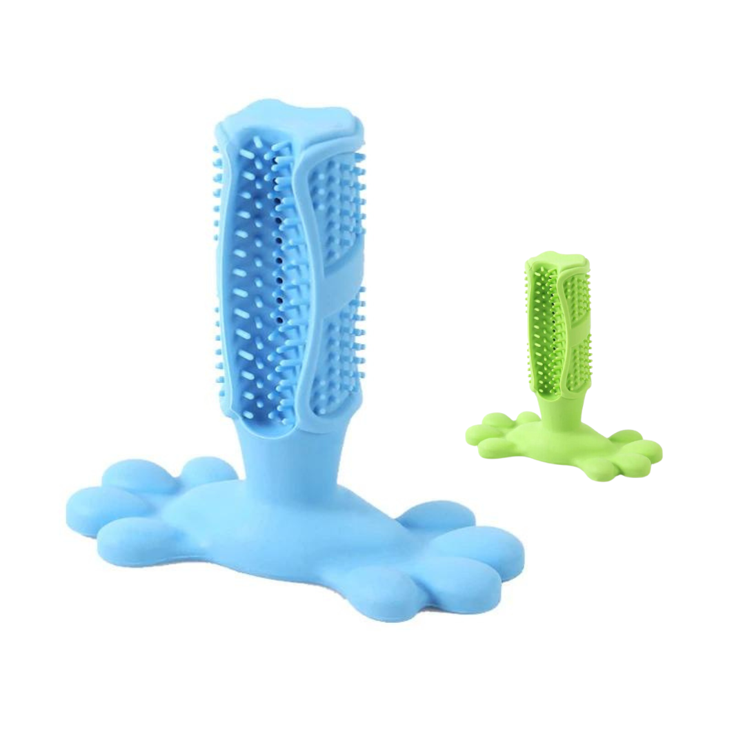 Hund tuggleksak tandborste