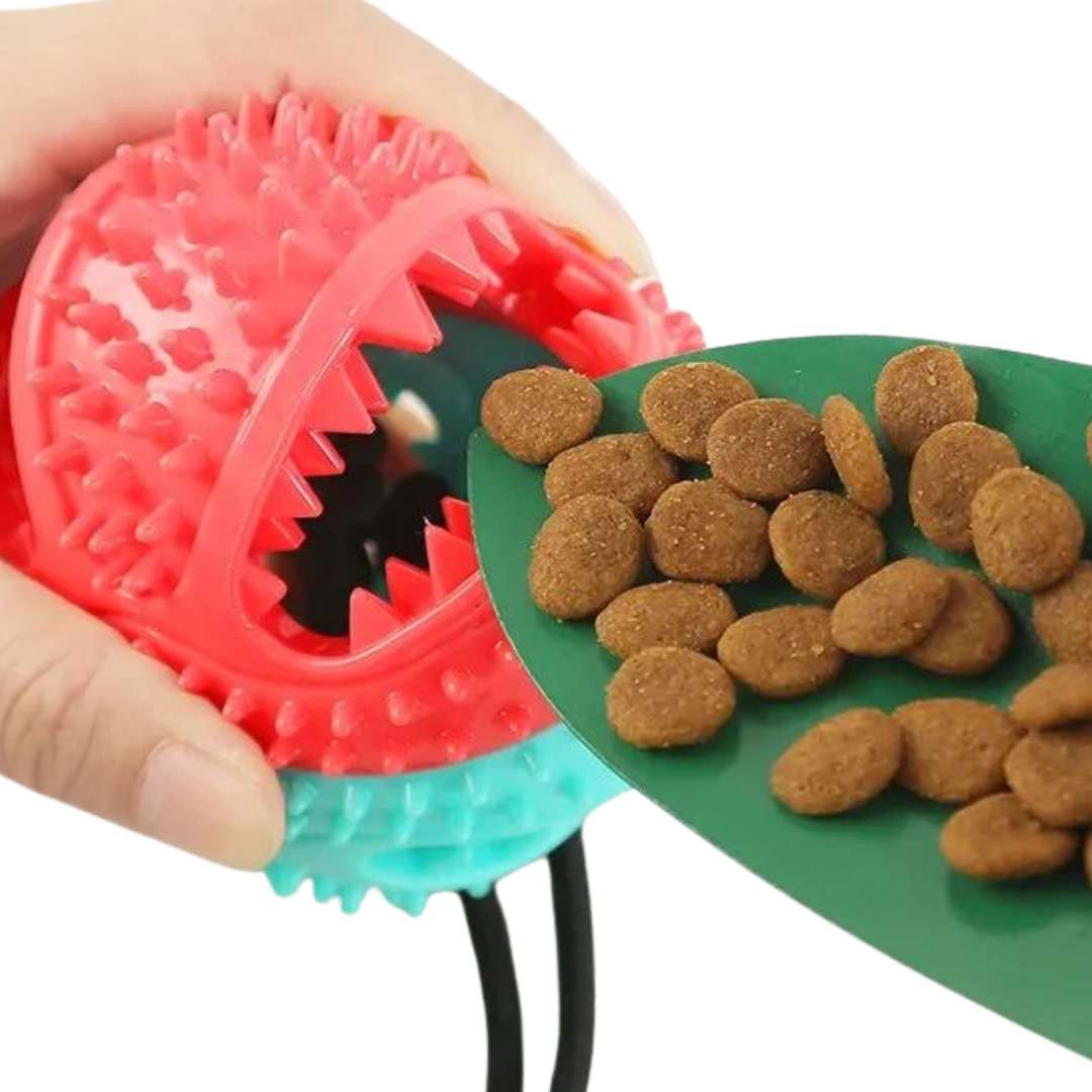 Hundleksak med sugkopp - tandhygien