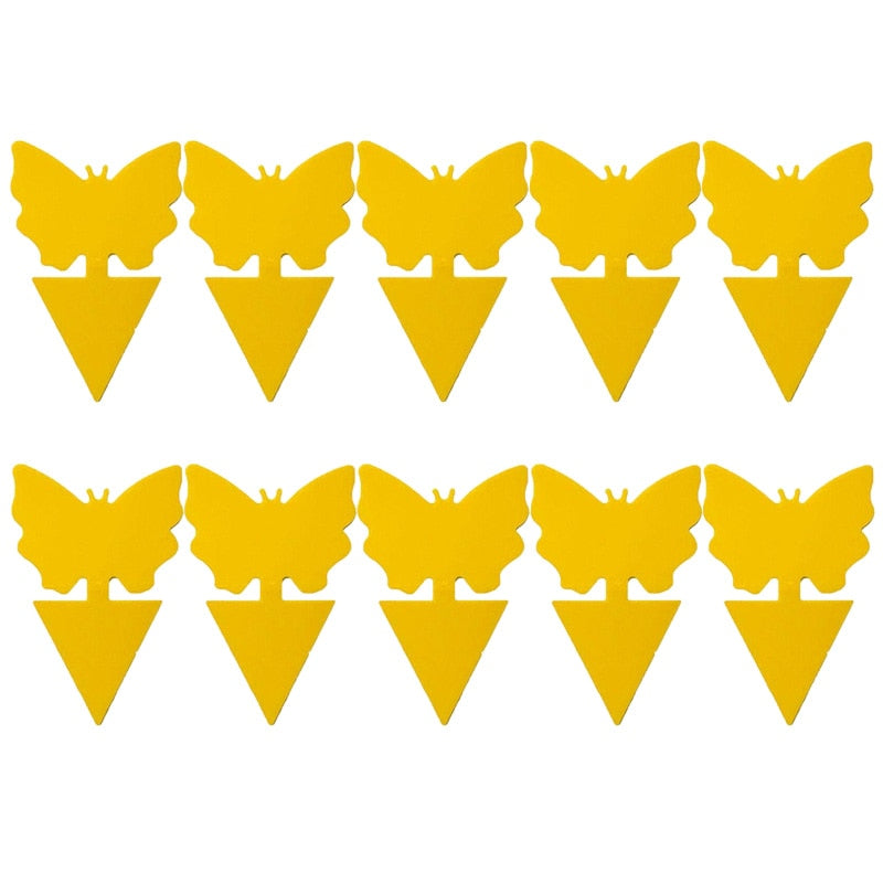 Insekts fångare