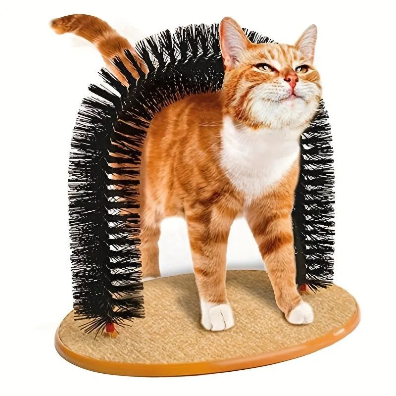 Kattbåge
