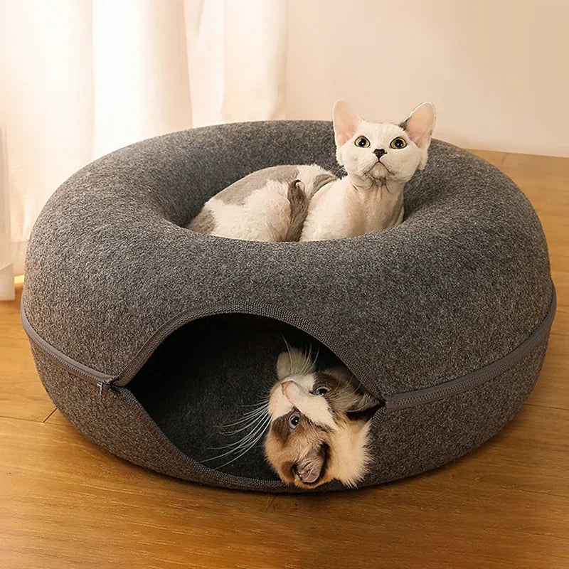 Kattgrotta