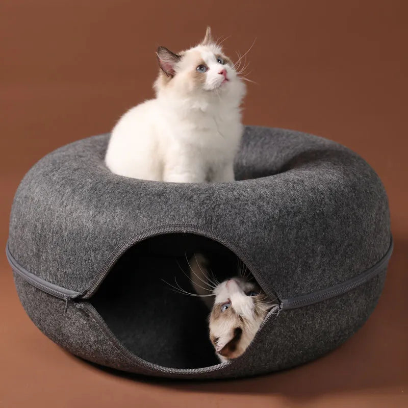 Kattgrotta donuts form