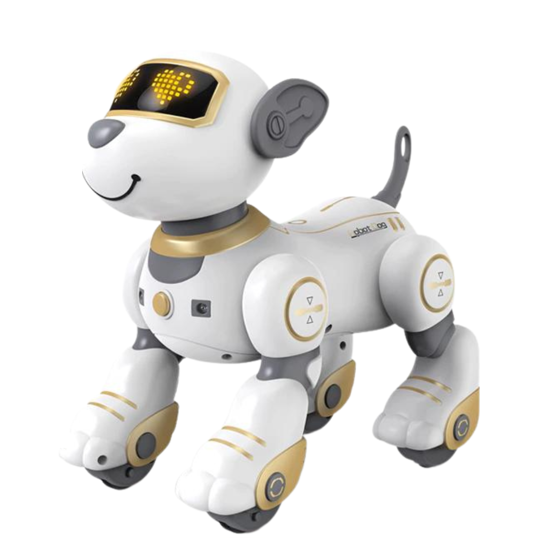 Robothund leksak - present till födelsedag 