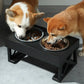 Hundmatskål - hundar som äter
