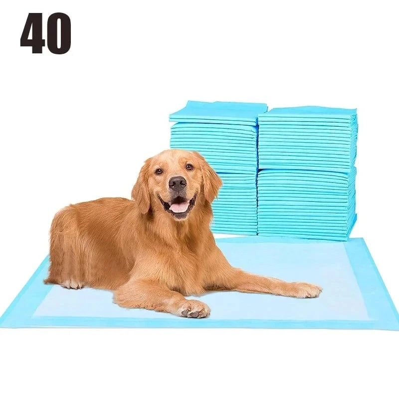 Kissmatta - stor hund