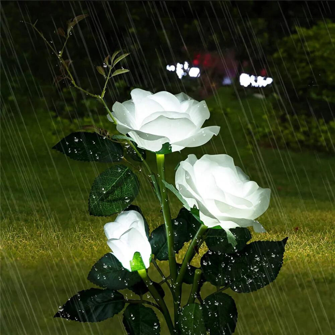 Solcellsbelysning trädgård