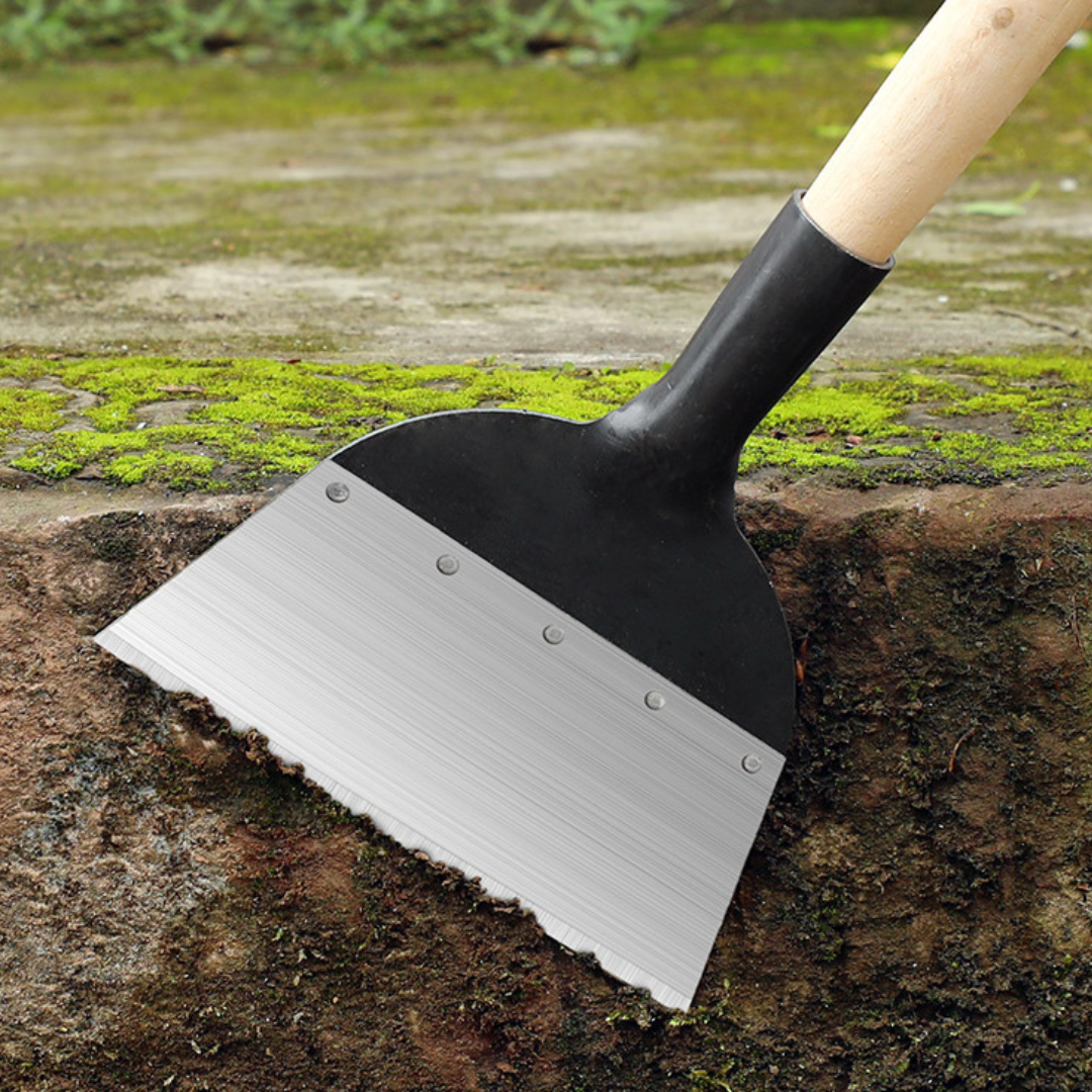 Vass spade rengöring