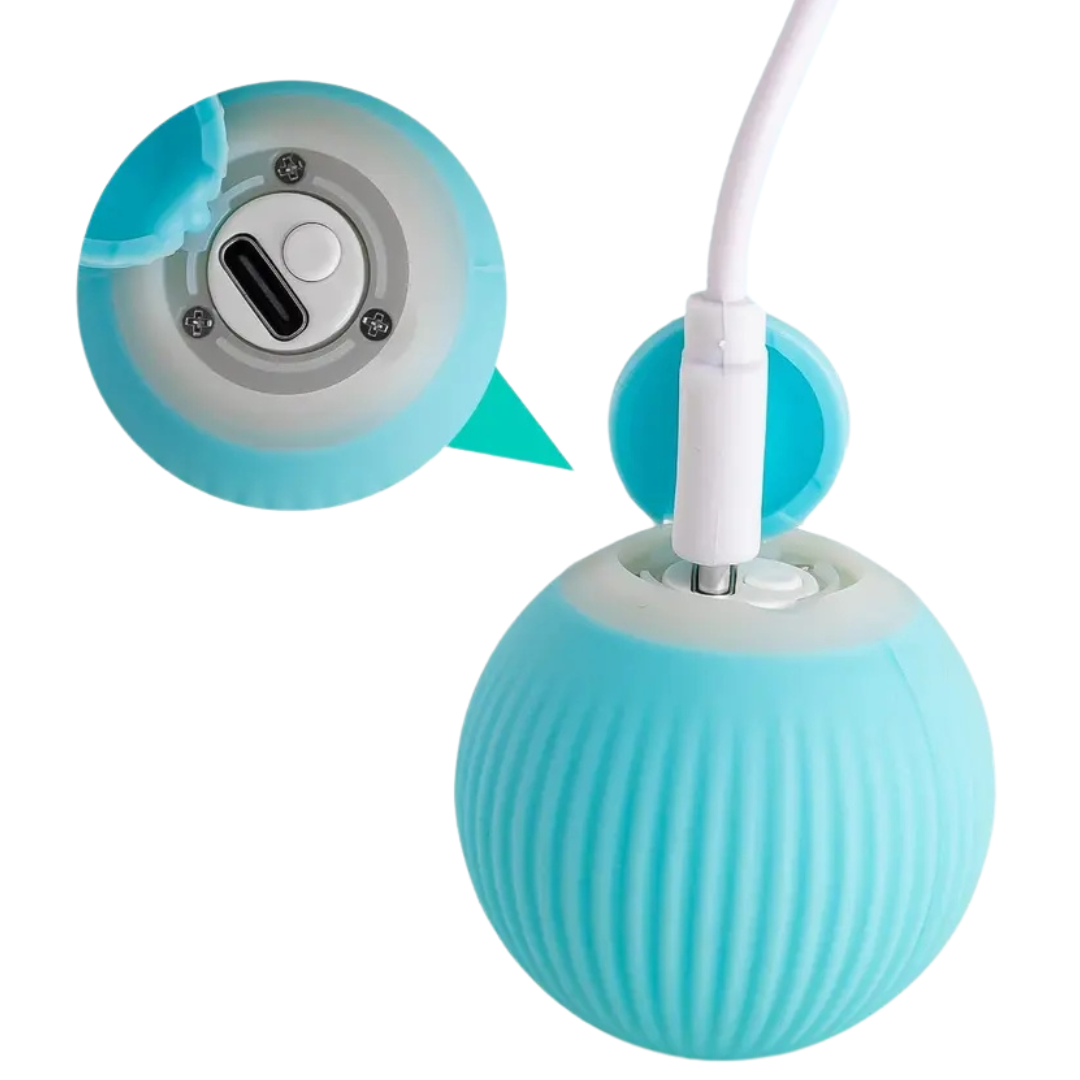 kattboll som rör sig