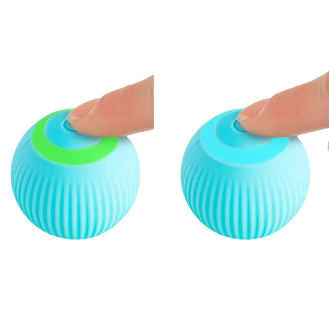 Självrullande boll - hund och katt