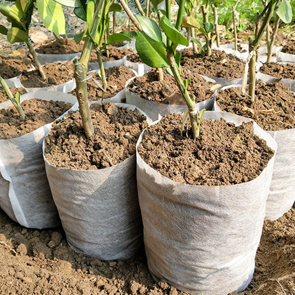 Hållbara Fiberduk Plant-påsar för dina växter