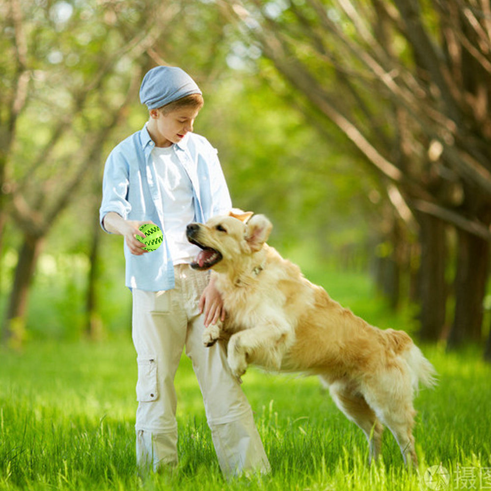 Mångsidig och hållbar - Healthy Hundboll för din hund.