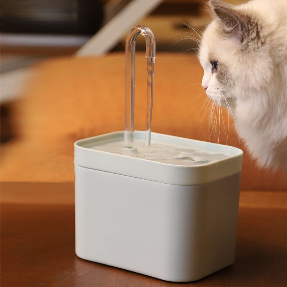 Vattenfontän för katter - bild på katt som dricker ur den