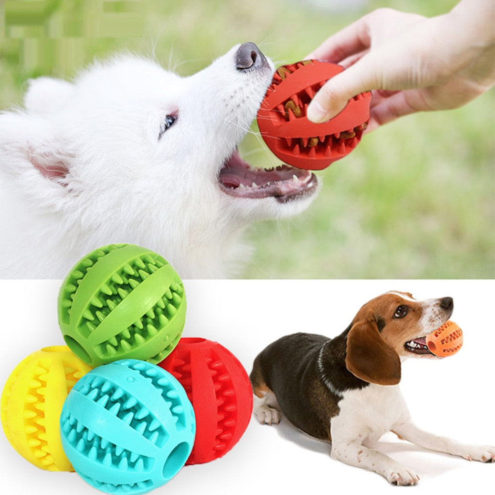 Healthy Hundboll: En miljövänlig leksak för din fyrbenta vän.