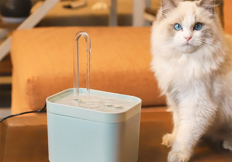 Vattenfontän för katter - vit färg och katt som står bredvid den 