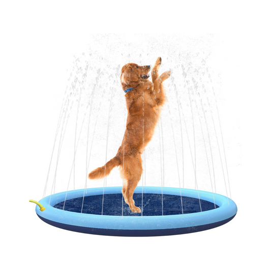 AquaValp: En lycklig hund njuter av svalkande vattenlek.