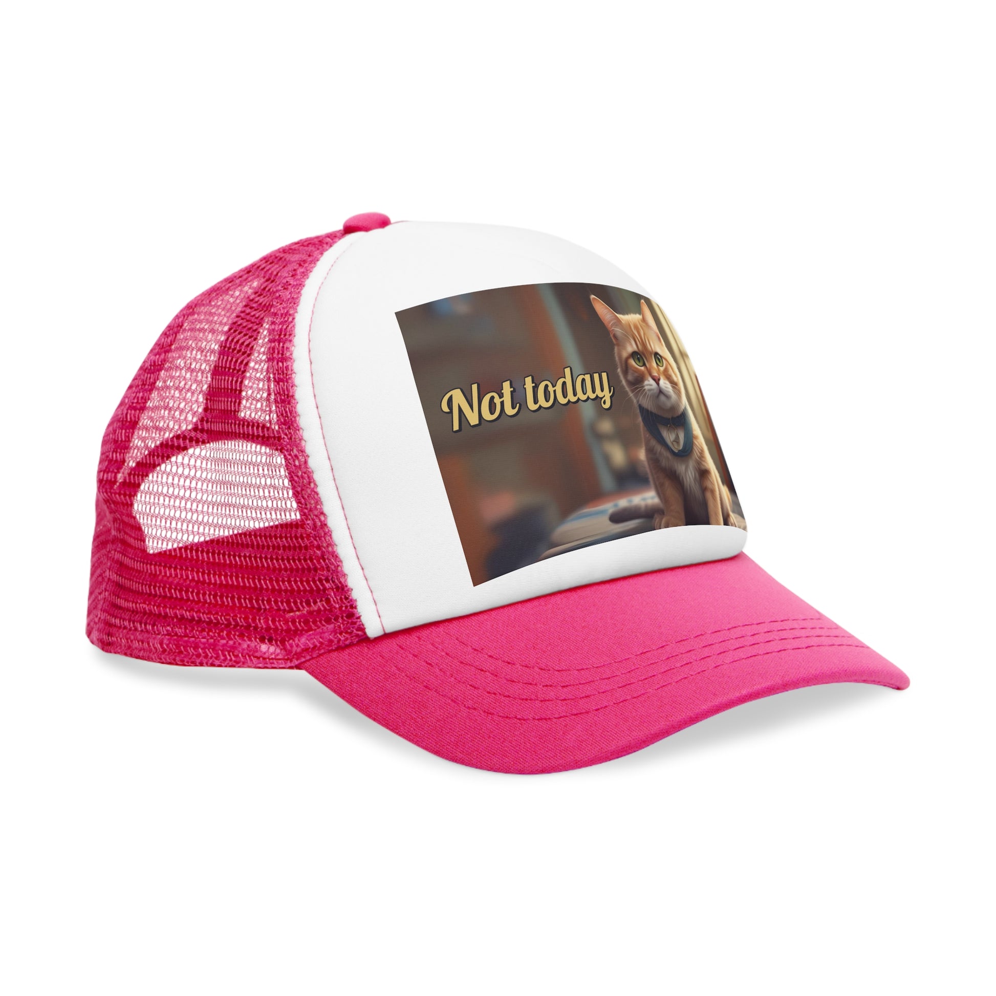 Not Today Keps - pink