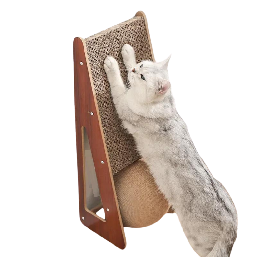 Klösbräda katt