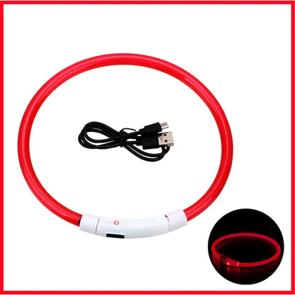 LED halsband hund röd