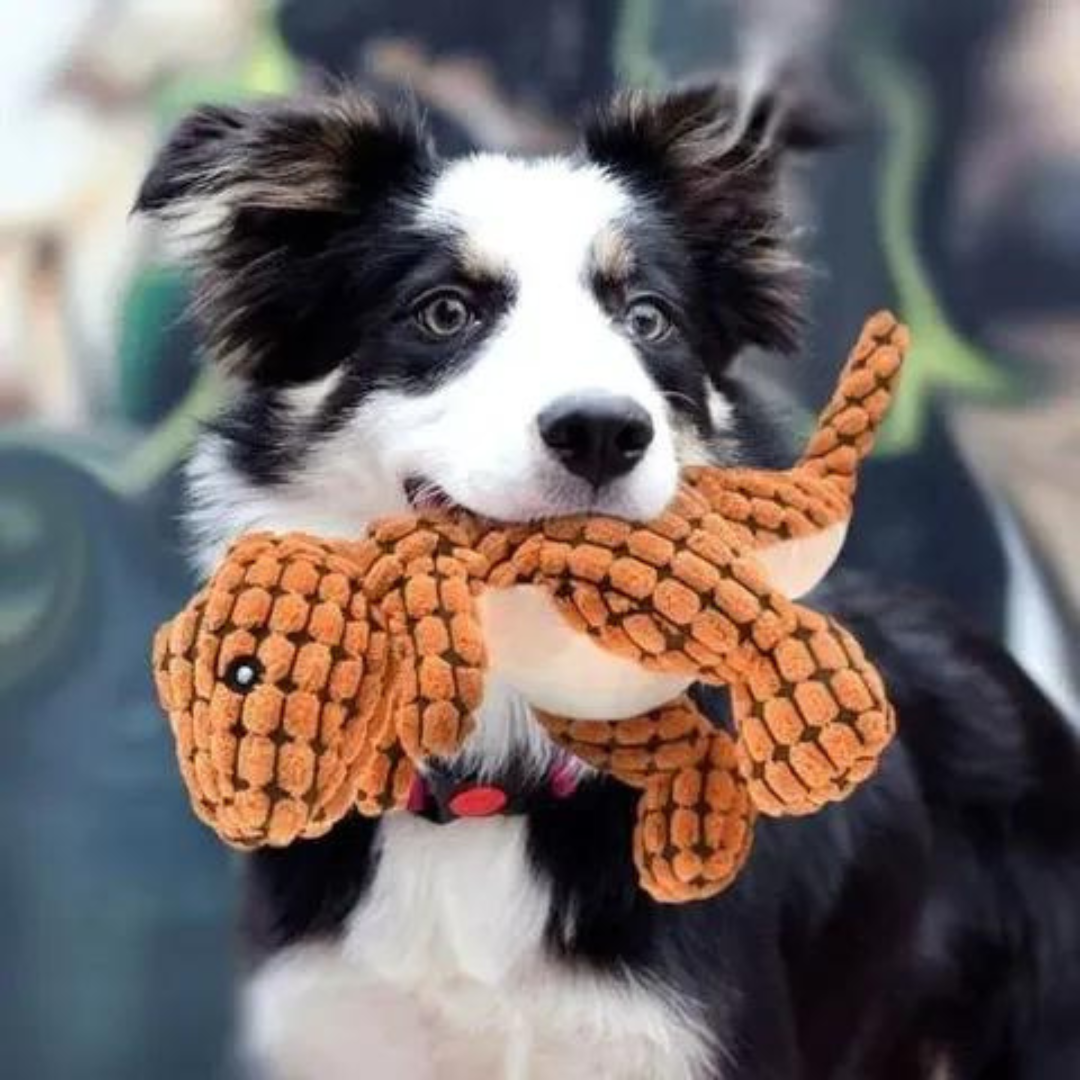Tuggleksak hund