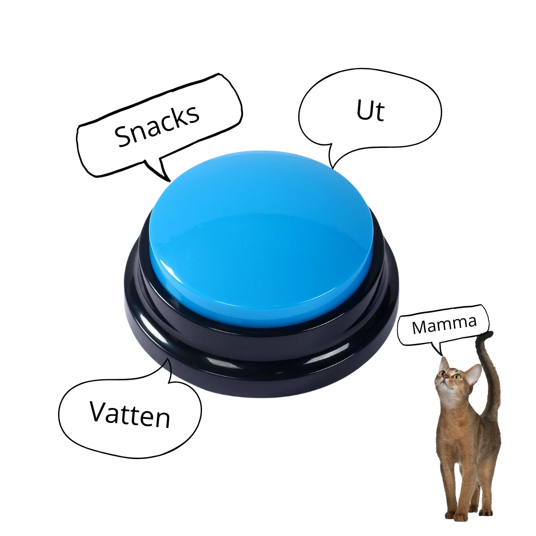 djurkommunikatör katt