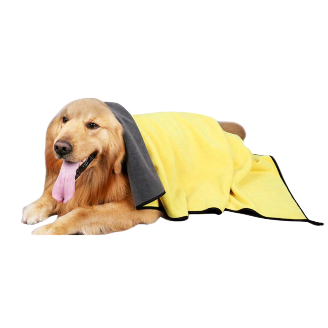 Hundhandduk - hund som har en handduk på sig