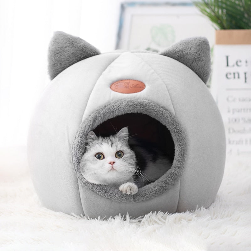 Kattigloo